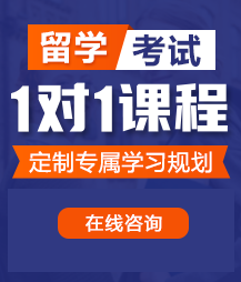 殴美大鸡巴操白嫩大逼留学考试一对一精品课